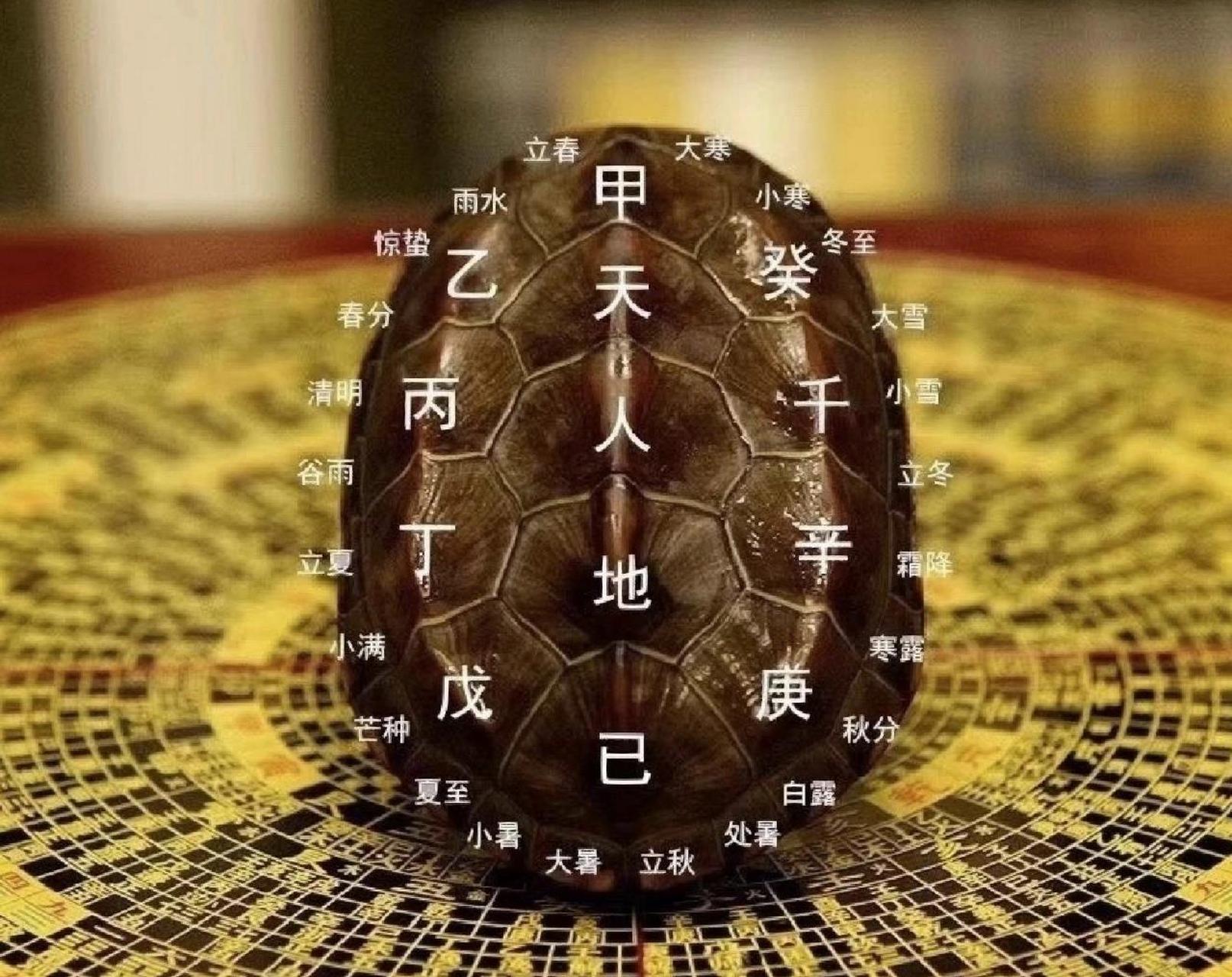 古代占卜图片