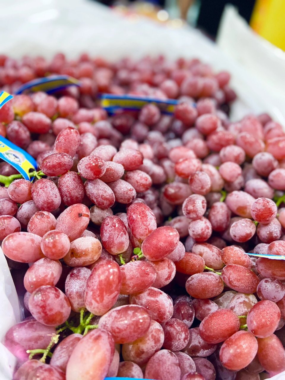 无籽红提文案 【无籽红提】更新9999入口酥脆,回味甜蜜,99不用