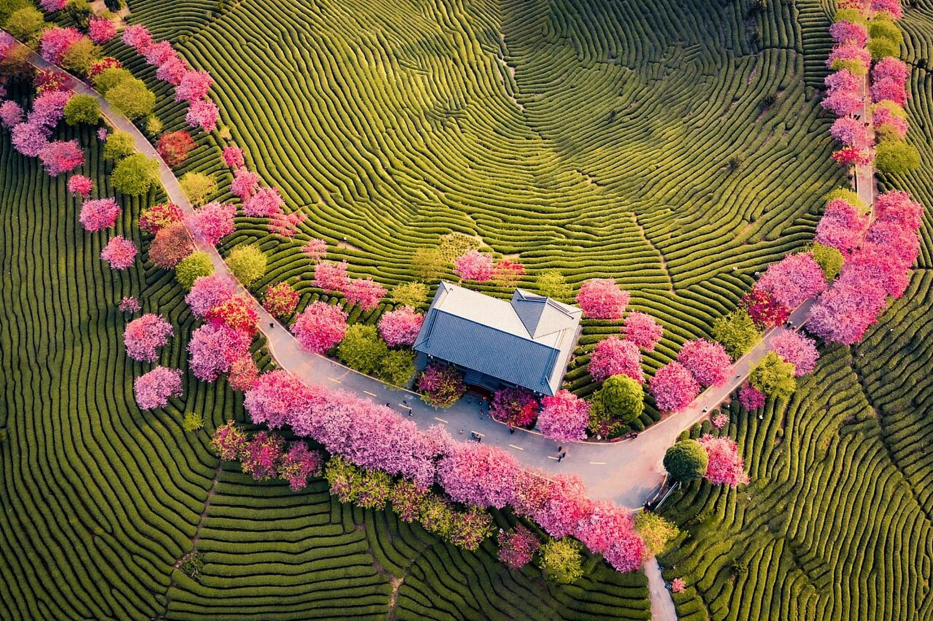 漳平美景图片