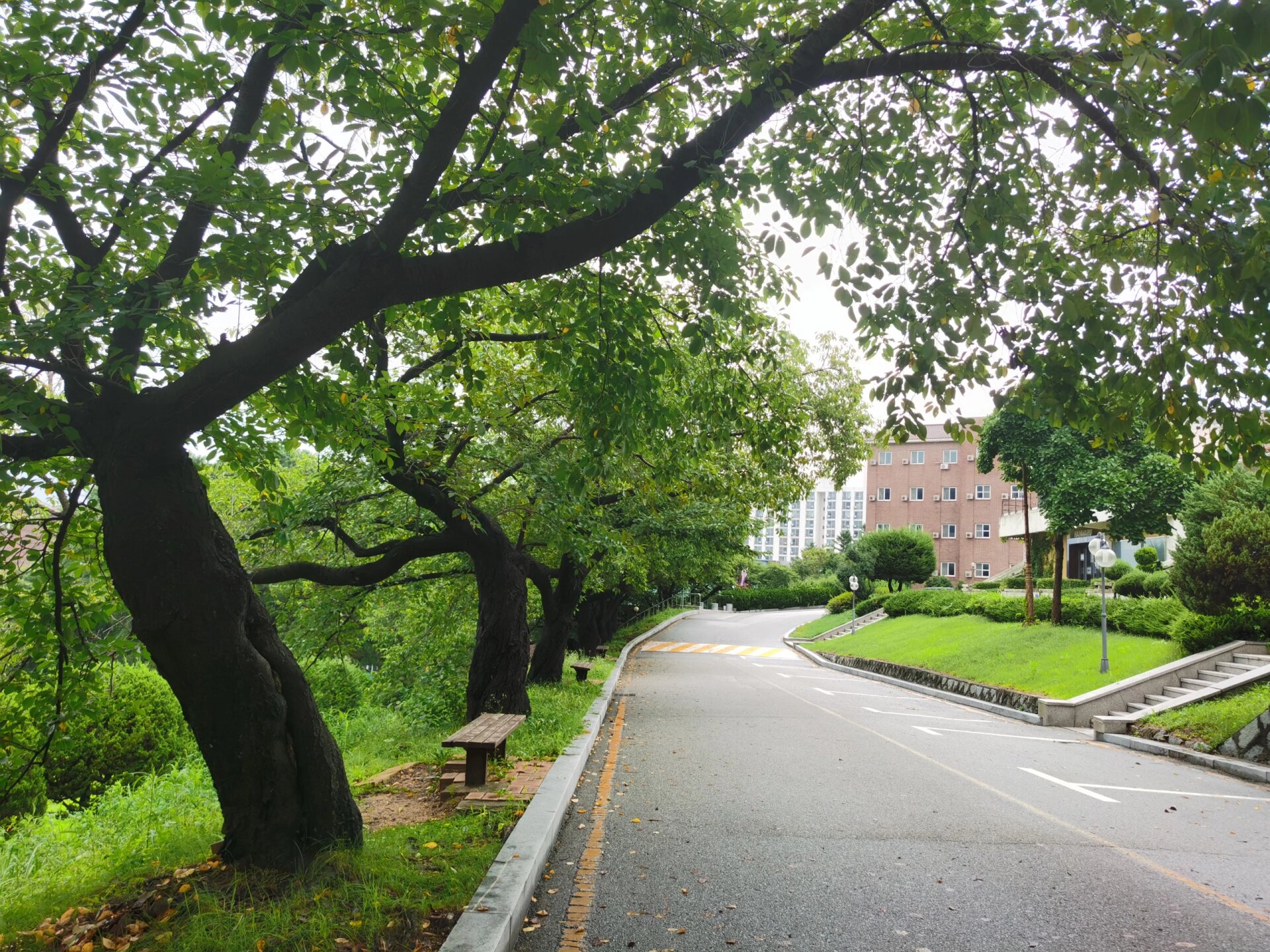 顺天乡大学图片