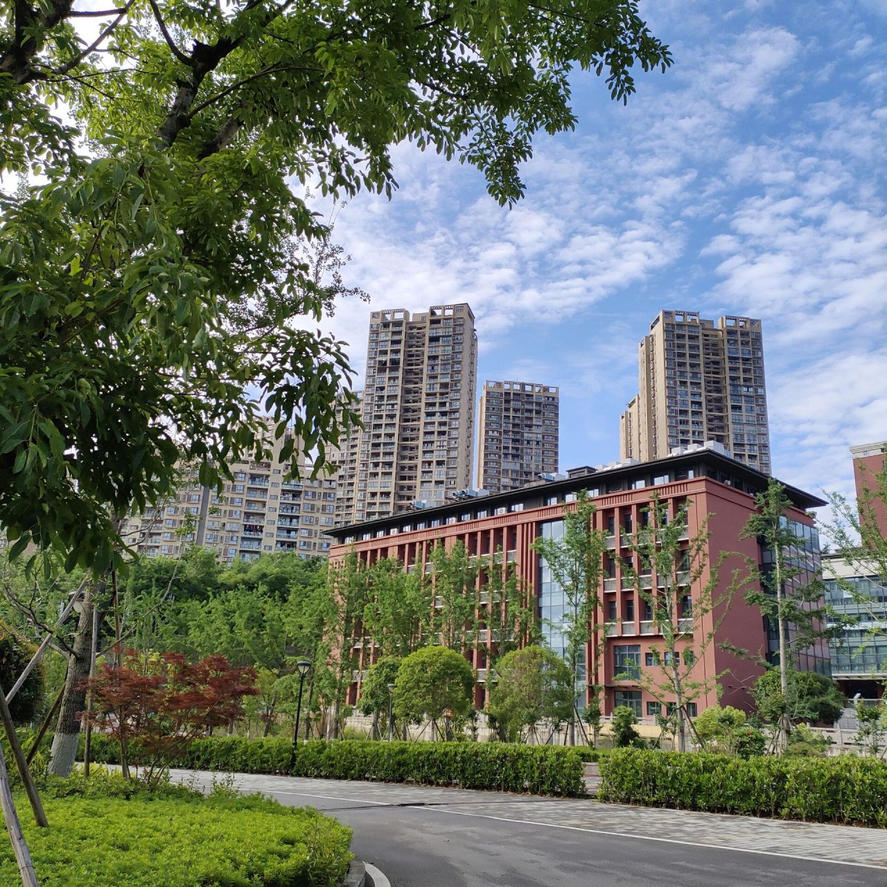 重庆三峡医药高等专科学校   雨后的校园好干净 又是早八的一天