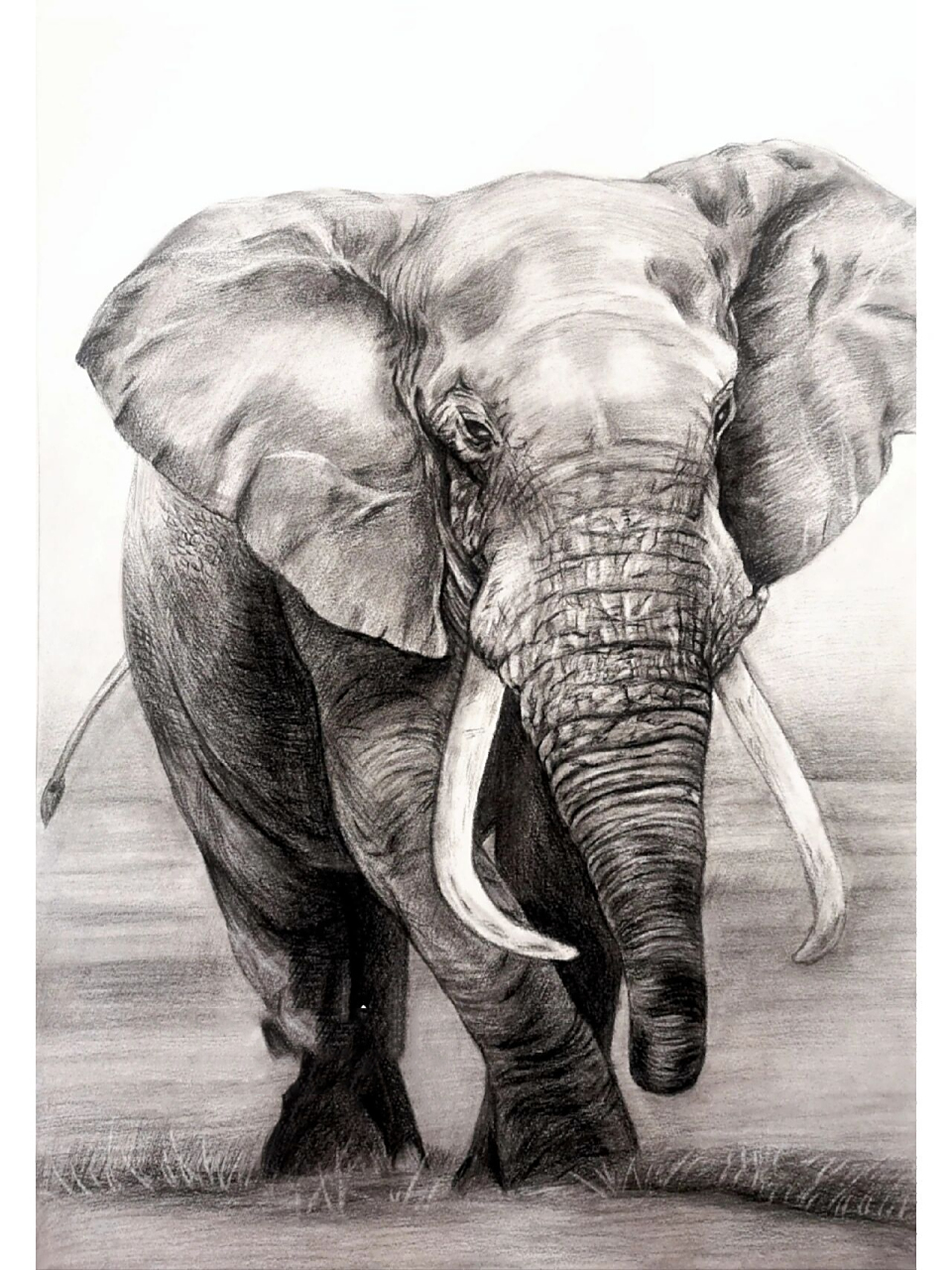 揉擦出来面的感觉 4,找出大象皮肤细节里面的主要线条进行刻画