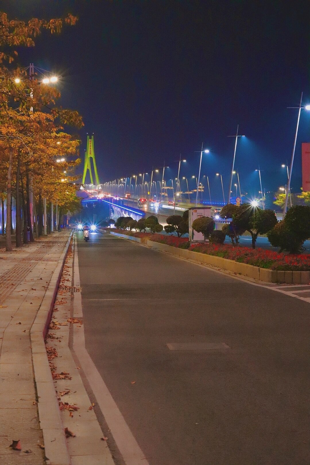 湛江海湾大桥 夜景图片