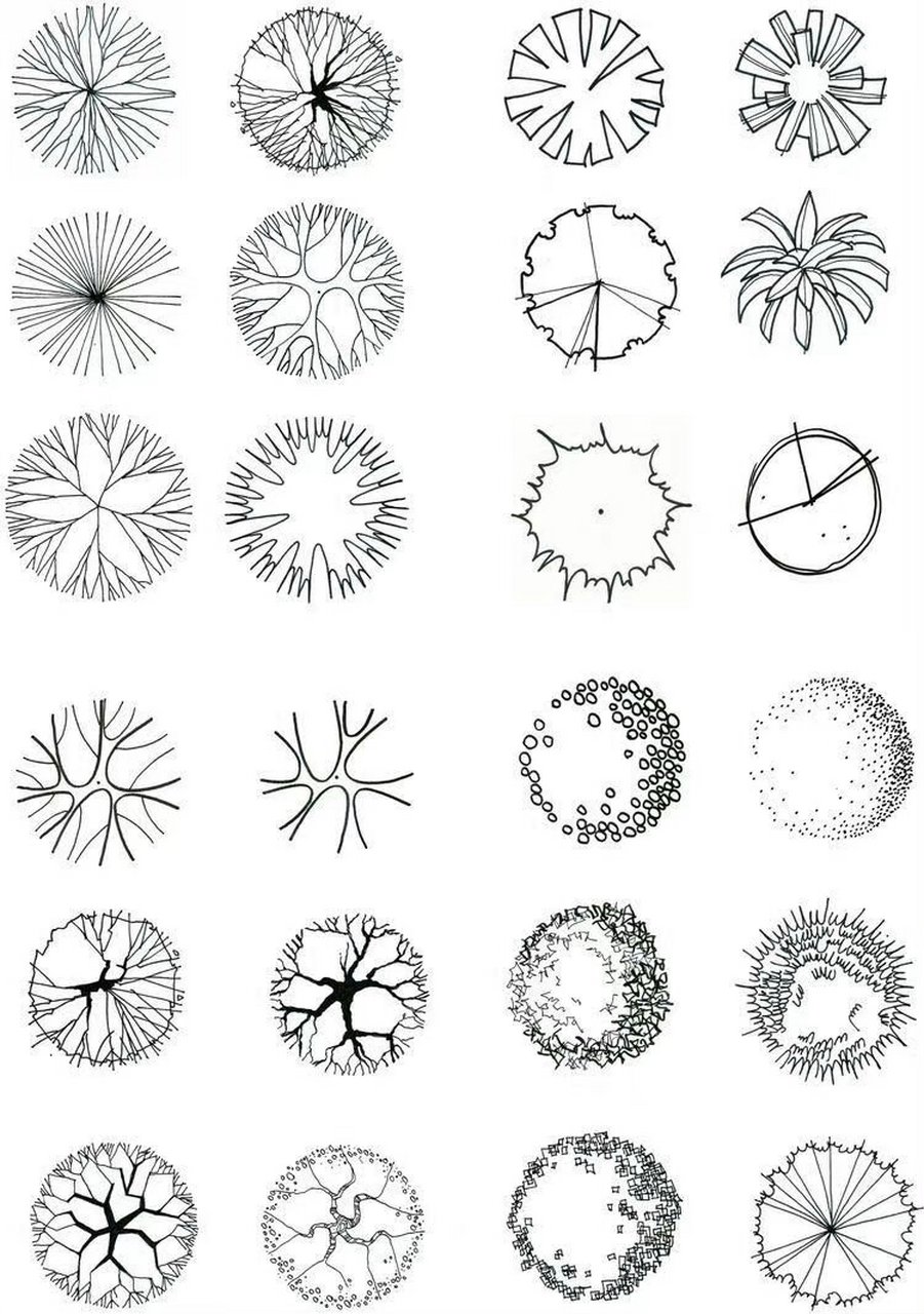 景观平面图植物图例图片