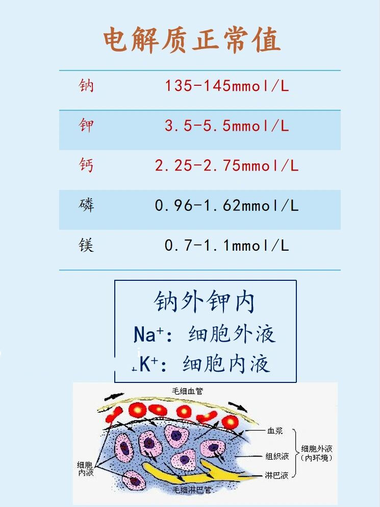 外科|电解质 95电解质正常值:主要掌握钠,钾,钙 95钠离子主要存在