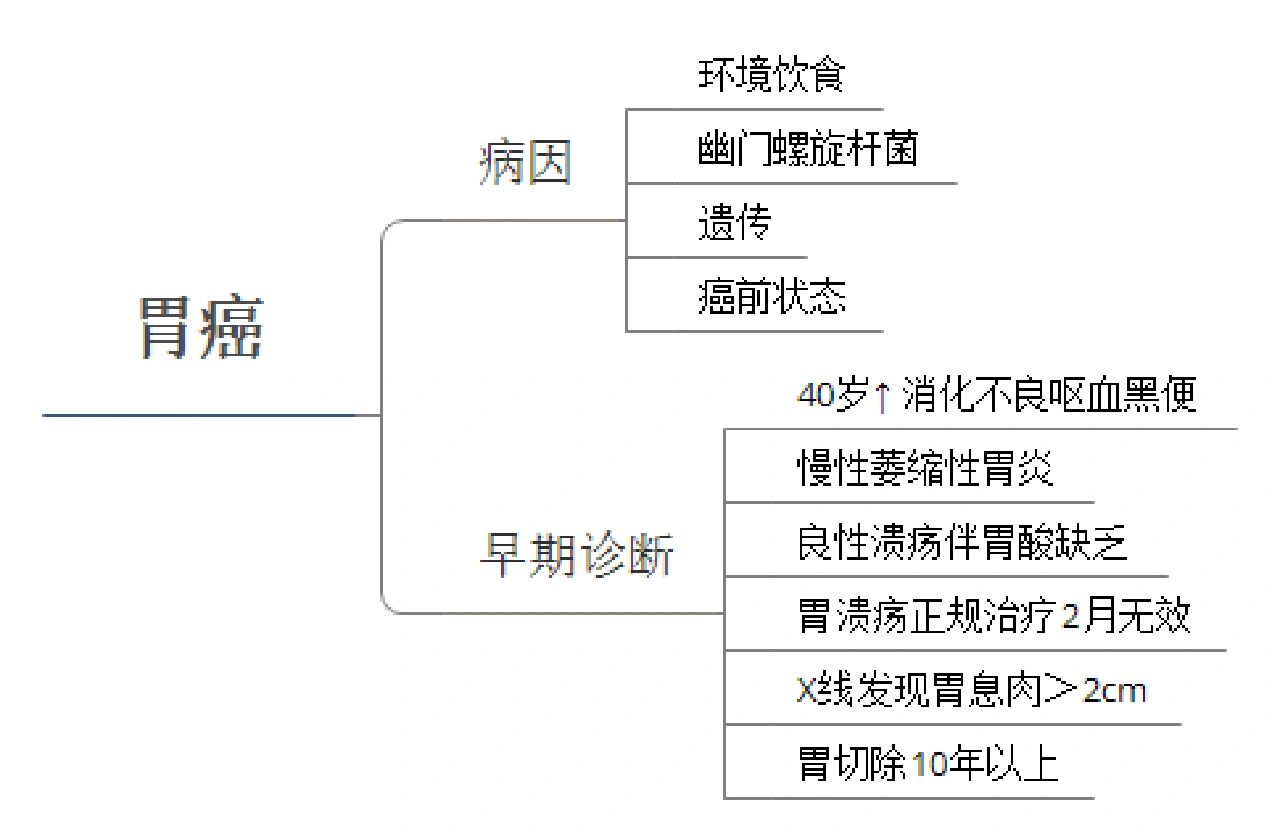 消化系统思维导图1