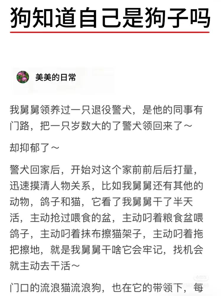 把警察训练成警犬文章