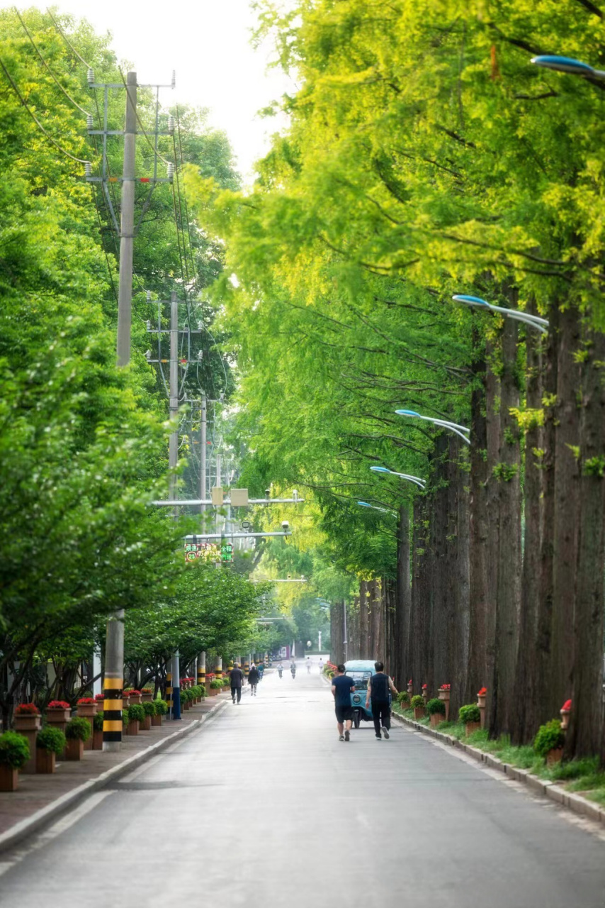 (图源:南京理工大学新媒体中心摄影部)