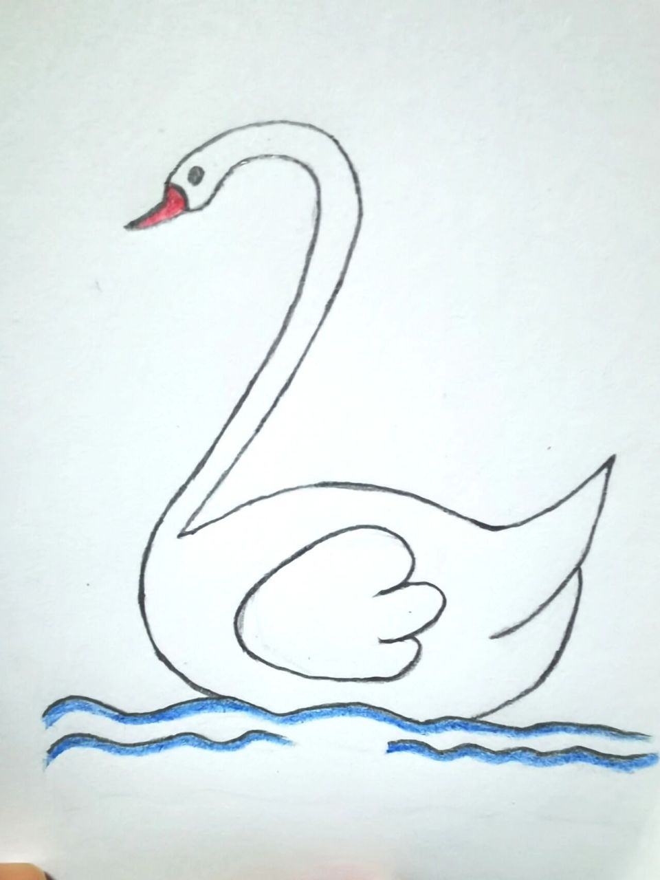 白天鹅 1.画一个数字2 2.画两个反向的小c,再画一个反向的大s 3.