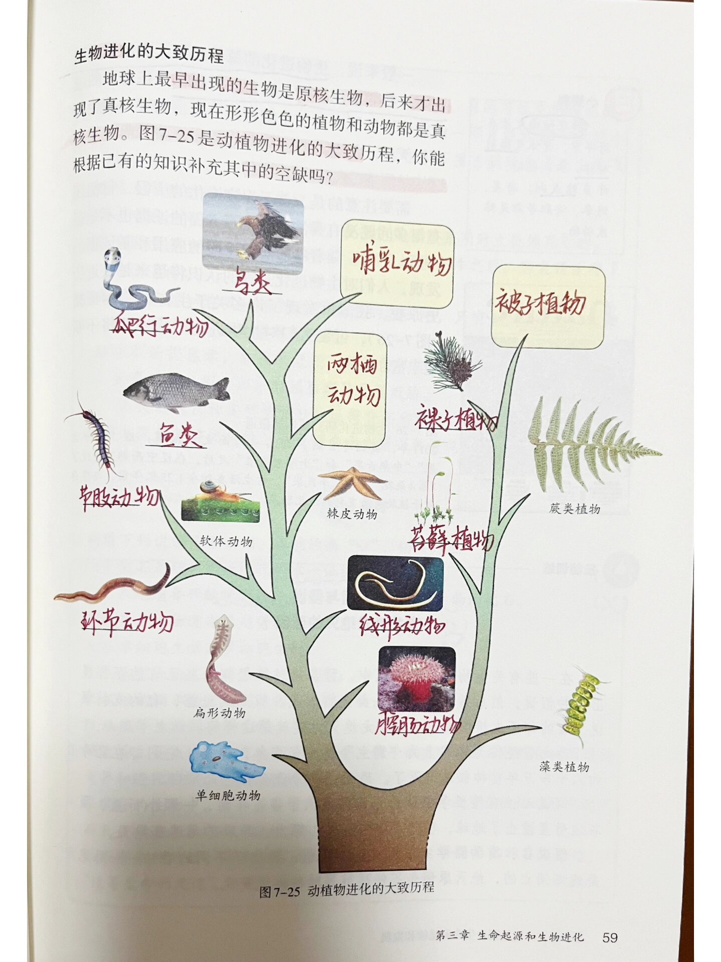 2《生物进化的历程》人教版生物课本笔记