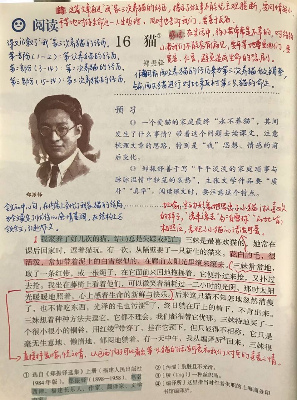 七上语《猫》课堂笔记