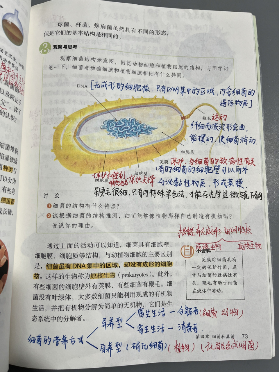 初二上册生物笔记图片图片