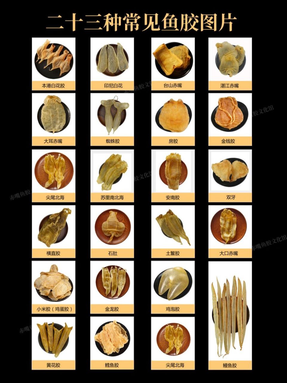 而十三种常见鱼胶图片 收集整理的23种常见鱼胶图片,学习必备,收藏