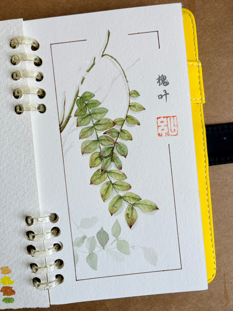 脱稿水彩:槐树叶 速涂一幅槐叶,简单又好玩.