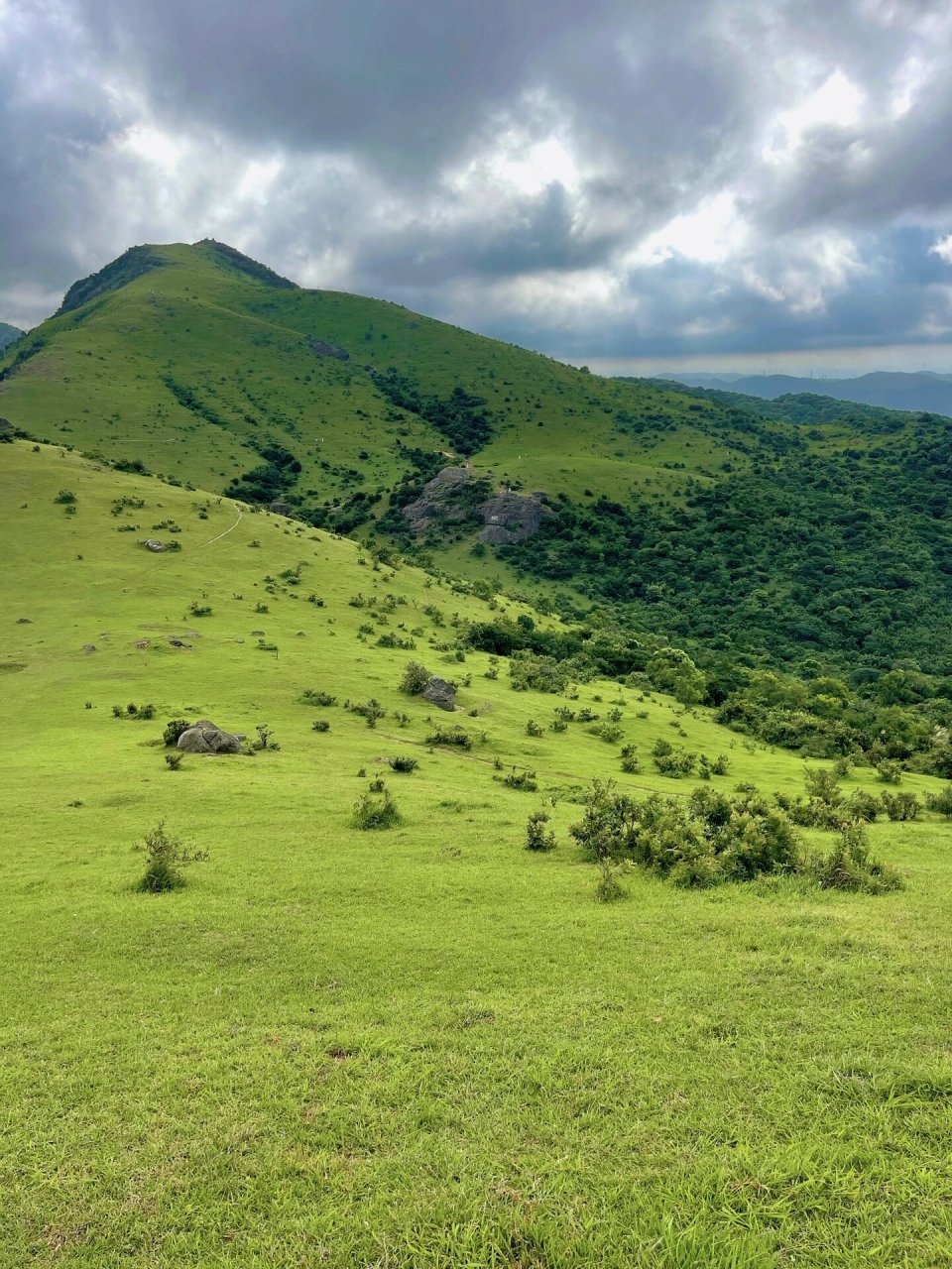 福建人一定要去一次大姆山草场,太治愈了~ 这是福州福清大姆山草场