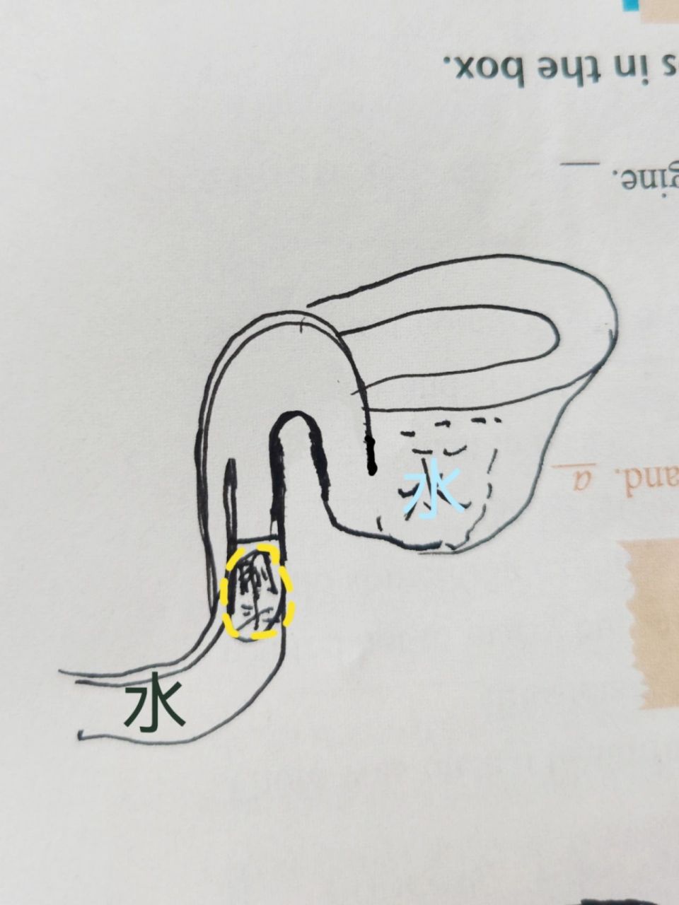 我的马桶刷头被马桶冲下去了?