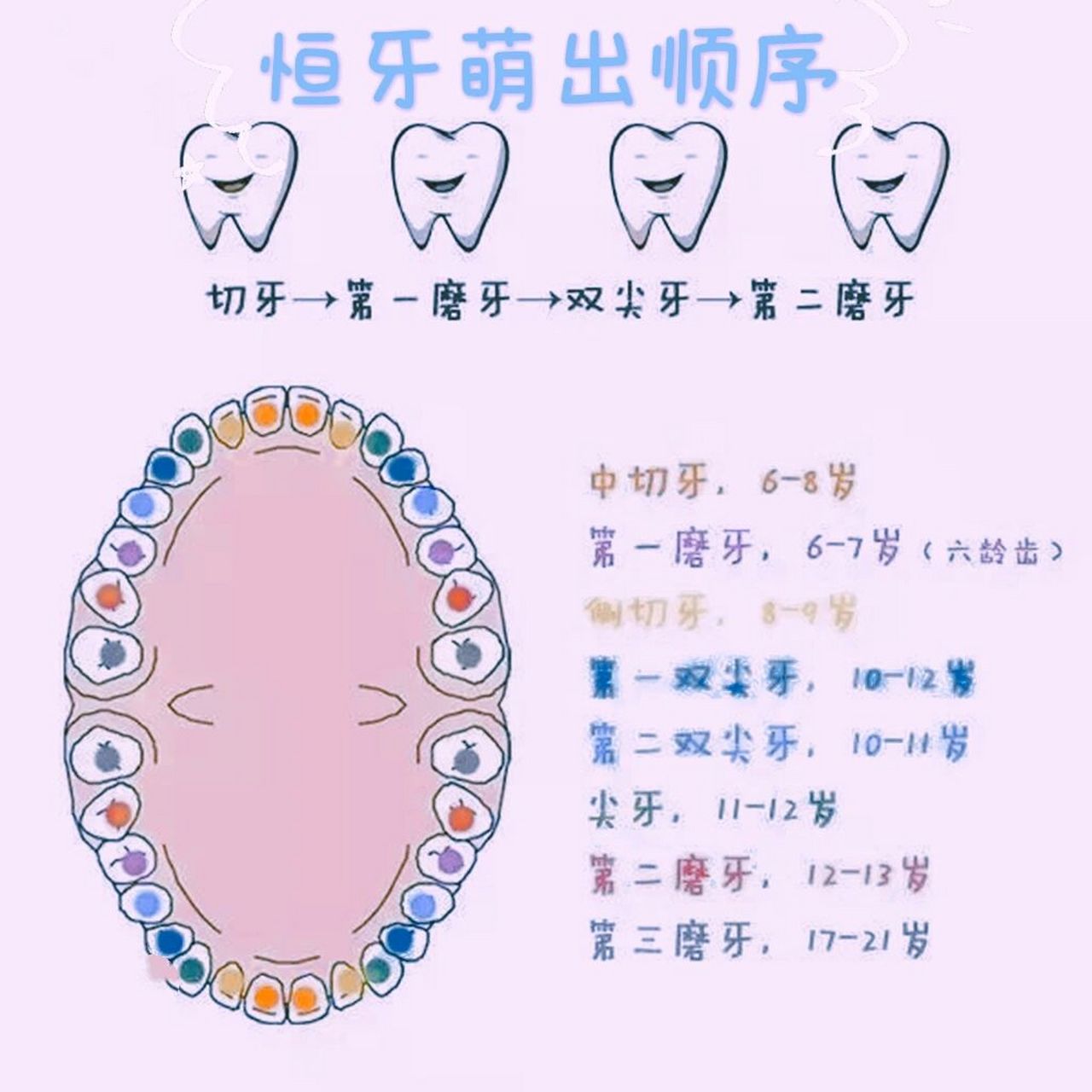 婴儿牙齿萌出的顺序为图片