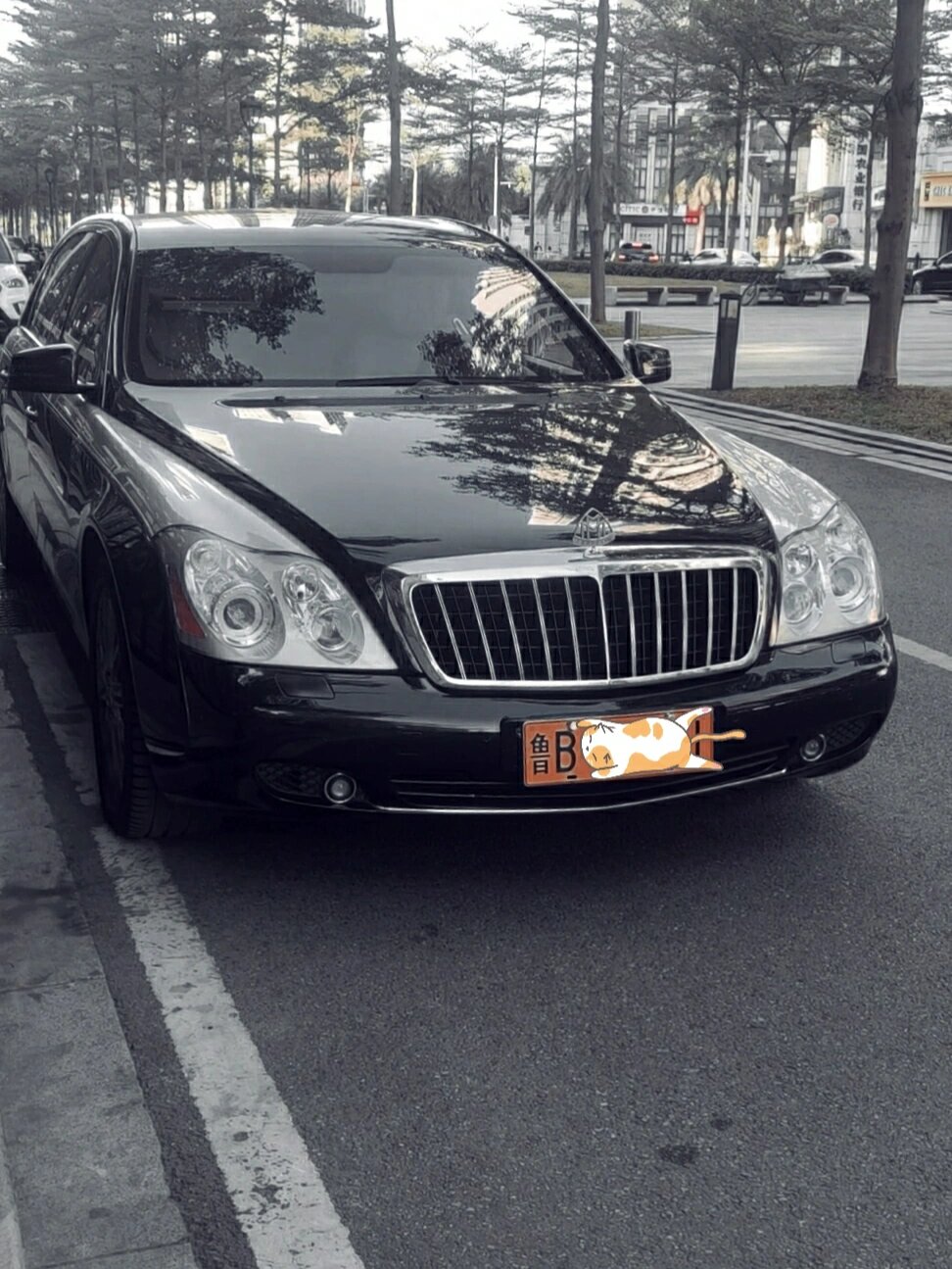 迈巴赫齐柏林  当年售价1400w的超豪华轿车 黄牌加身愈显尊贵  偶遇不