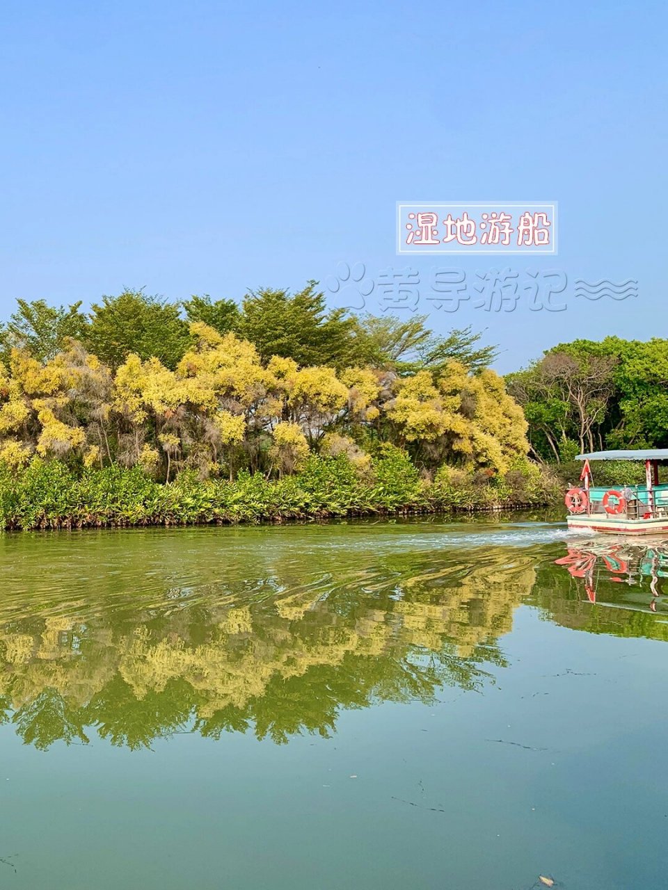 南沙湿地公园介绍图片