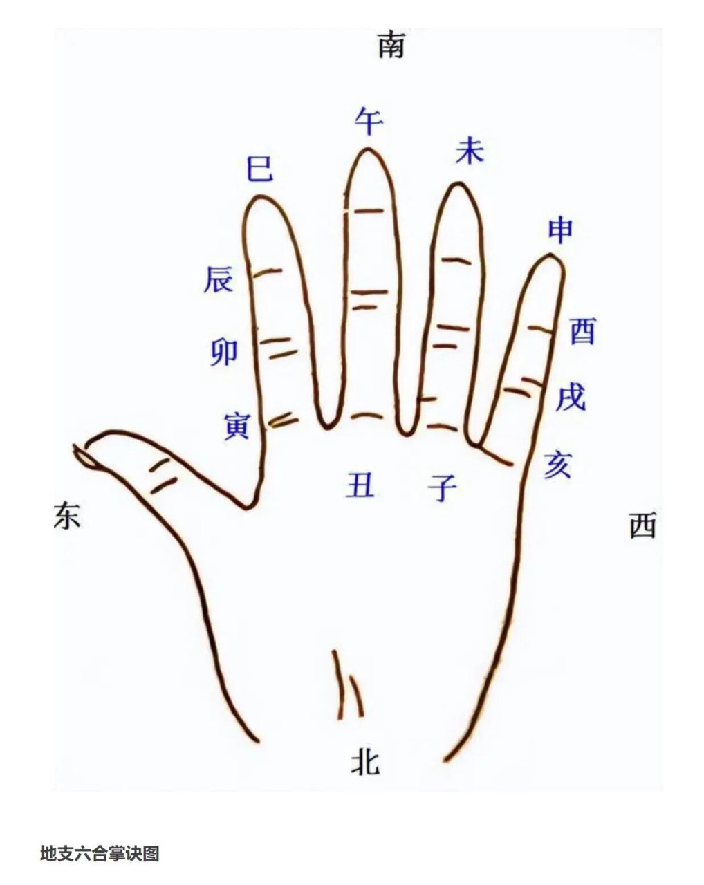 【国学堂】十二地支与掌诀图 十二地支与掌诀图