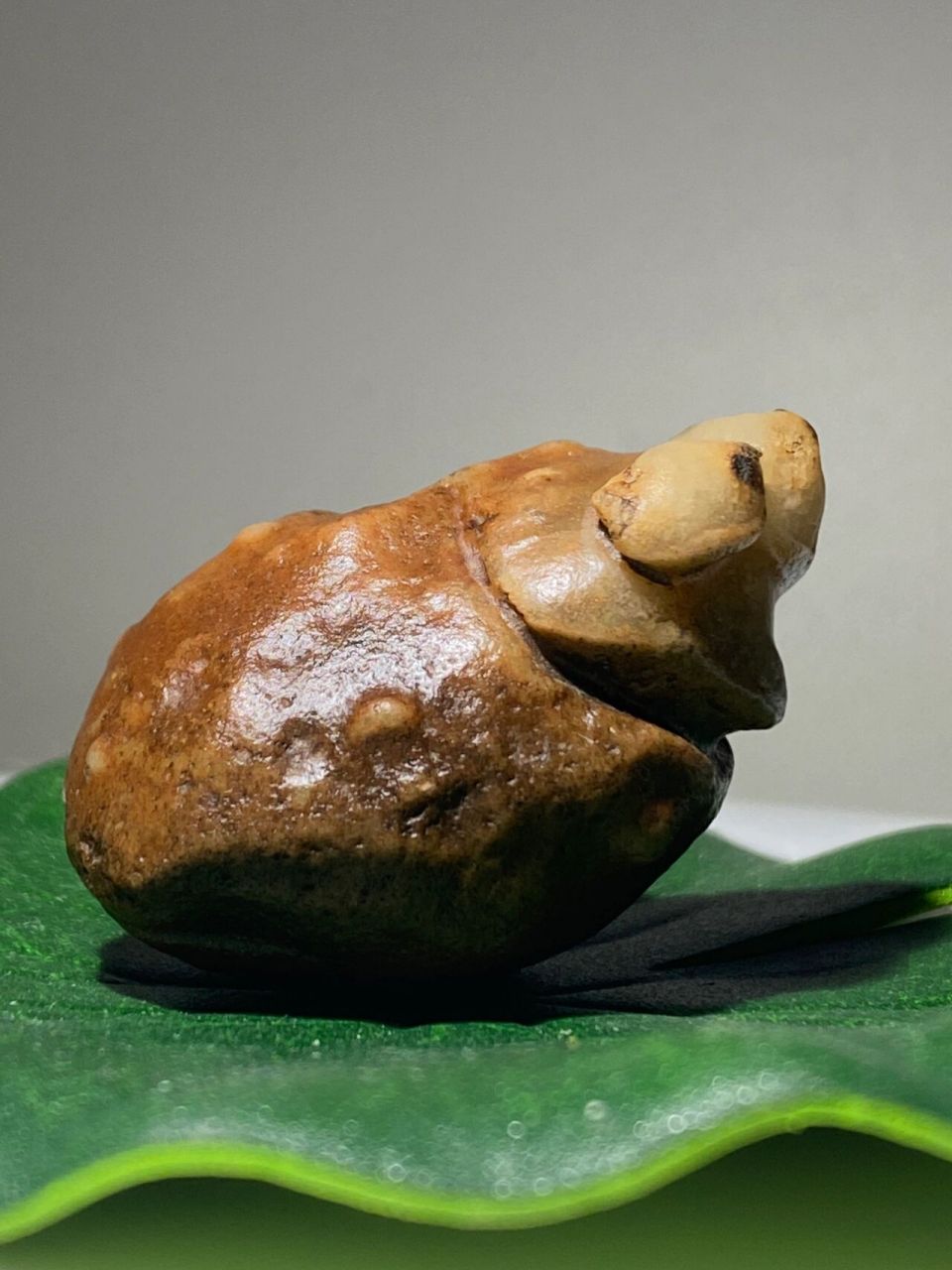 可爱的小金蟾 天然奇石 还能自然放稳噢 十分难得