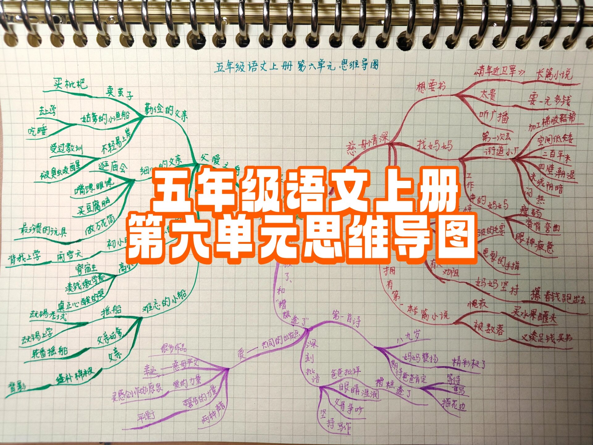 五年级语文上册第六单元思维导图 《慈母情深》这篇课文讲述的是贫穷