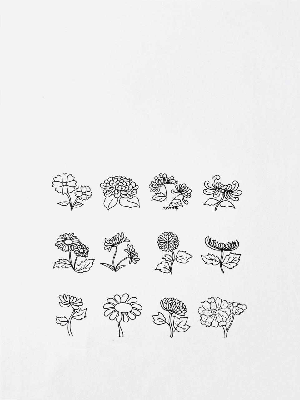 【简笔画】菊花 分享一组植物类简笔画—菊花 距离之前200幅简笔画的