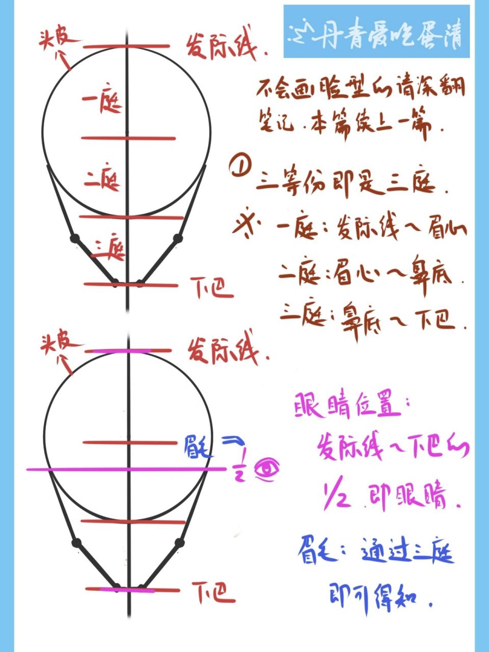 繪畫基礎|三庭五眼和五官位置教程|乾貨分享 起稿三庭五眼的比例關係