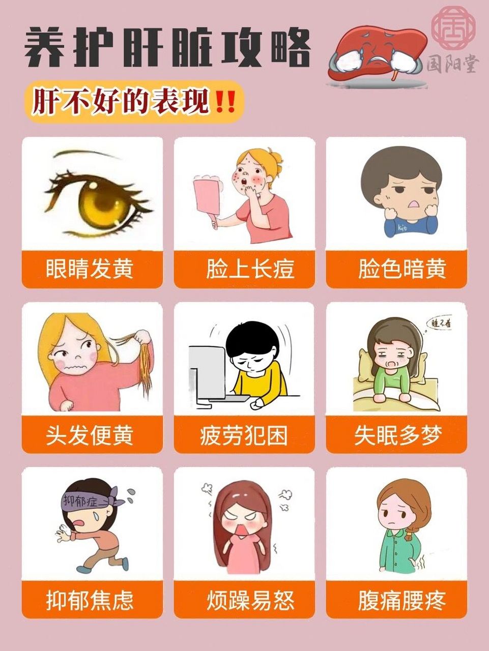 养肝护肝攻略97肝不好的9个表现6015 肝脏主藏血,向身体各个