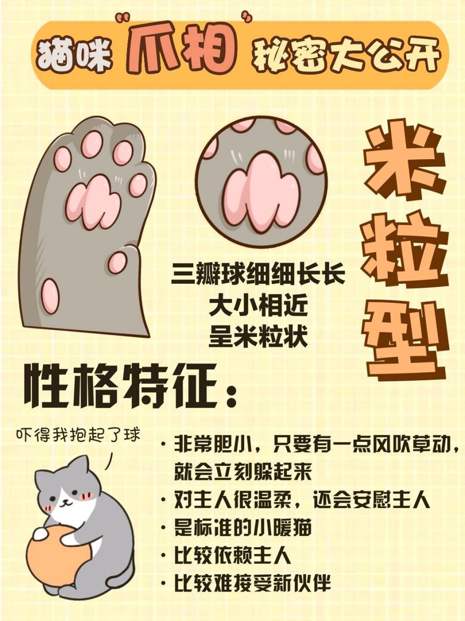 猫咪爪子性格图片