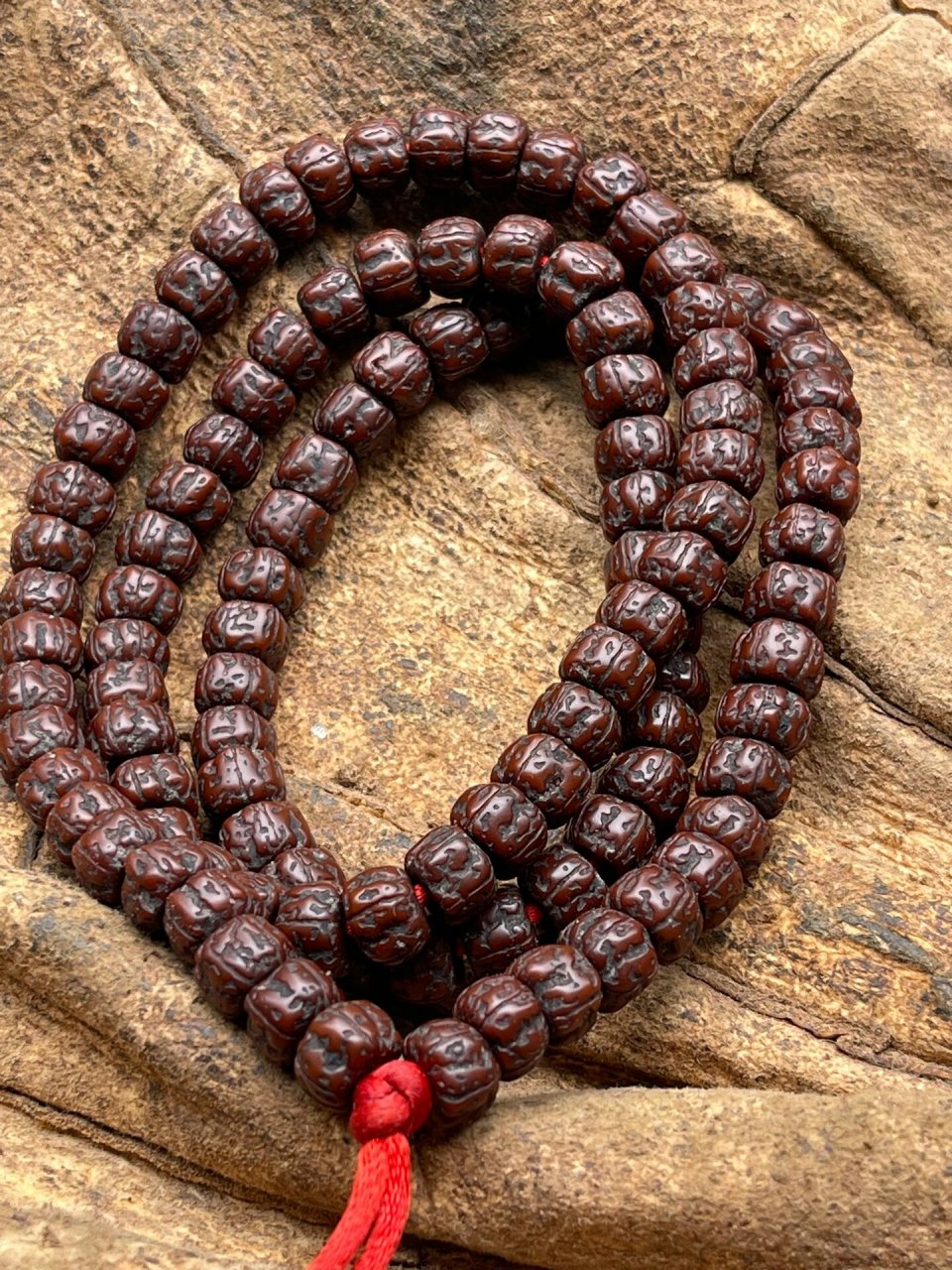 藏区老金刚菩提,喜欢的不要错过