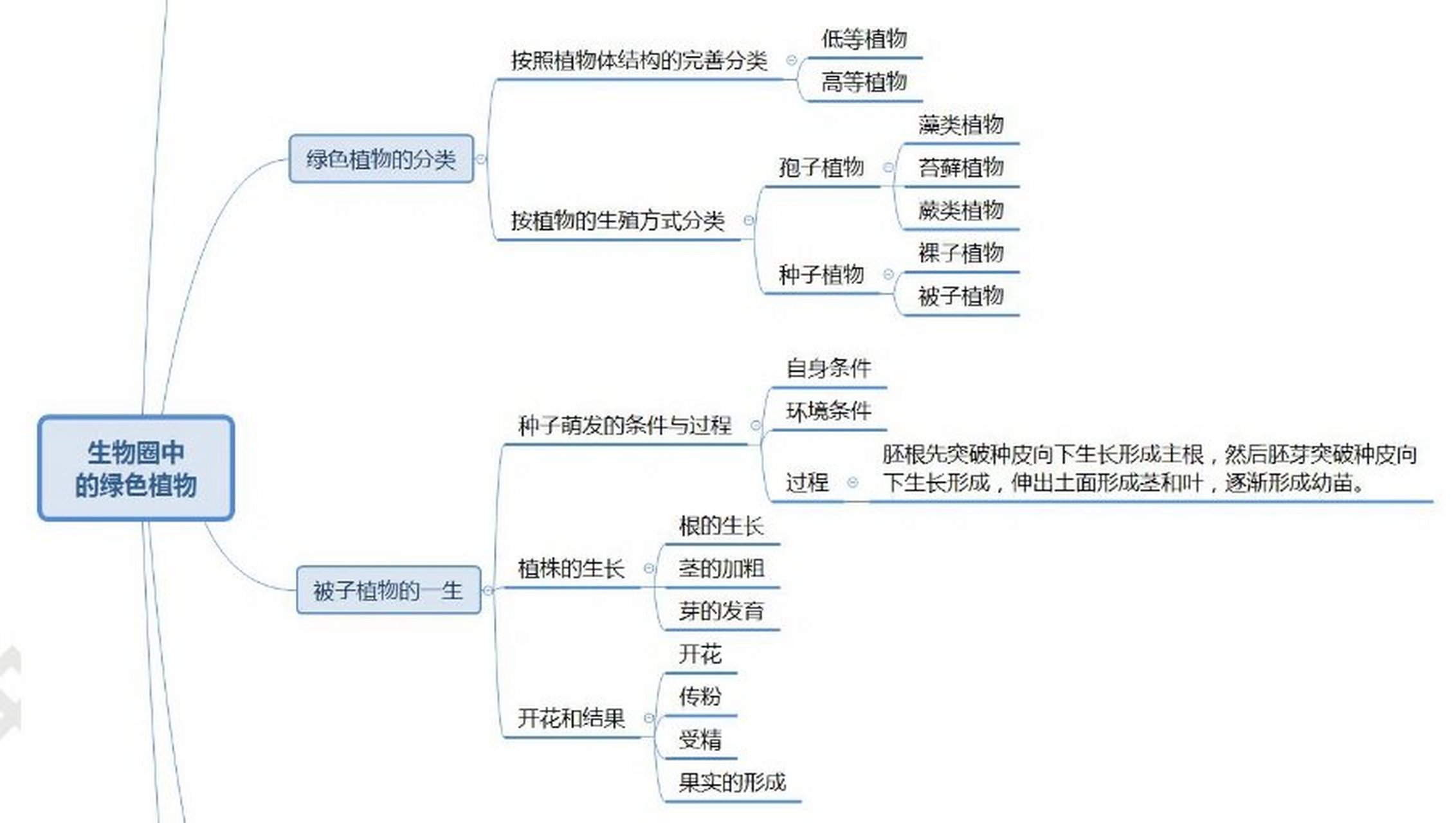 教资科三之高中生物思维导图1 生物圈中的绿色植物