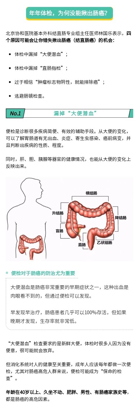 人体肠道长度图片