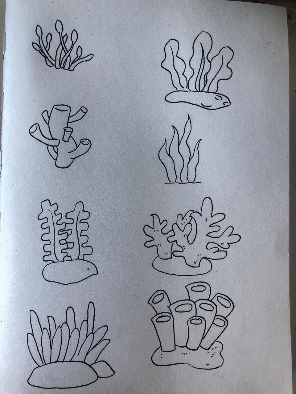 简笔画50/植物篇/海底植物
