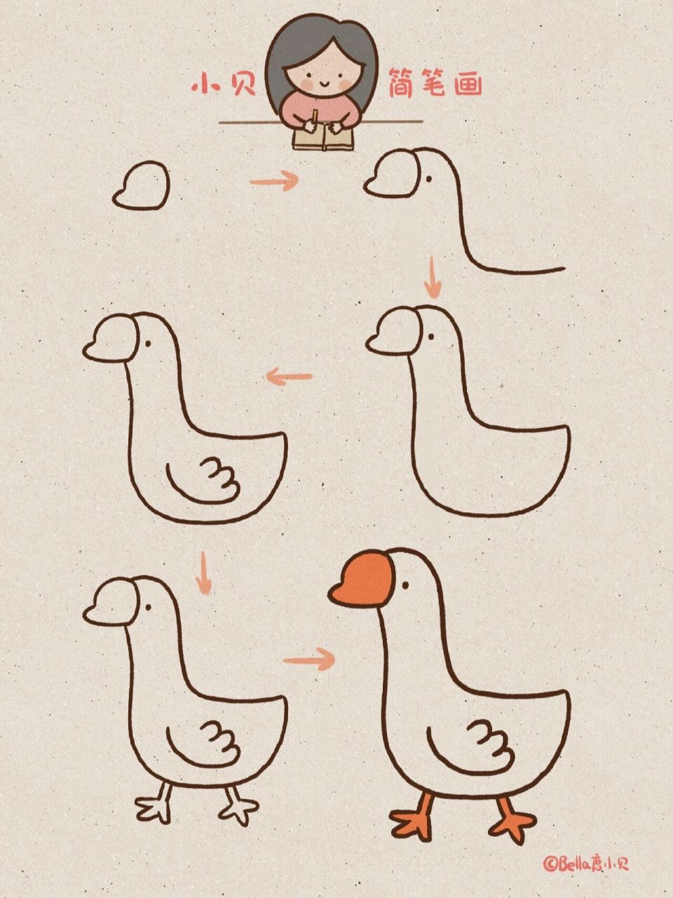 小贝简笔画-鹅 鹅是食草禽,全身都是宝,羽毛是富贵华丽的服装,鹅肝是