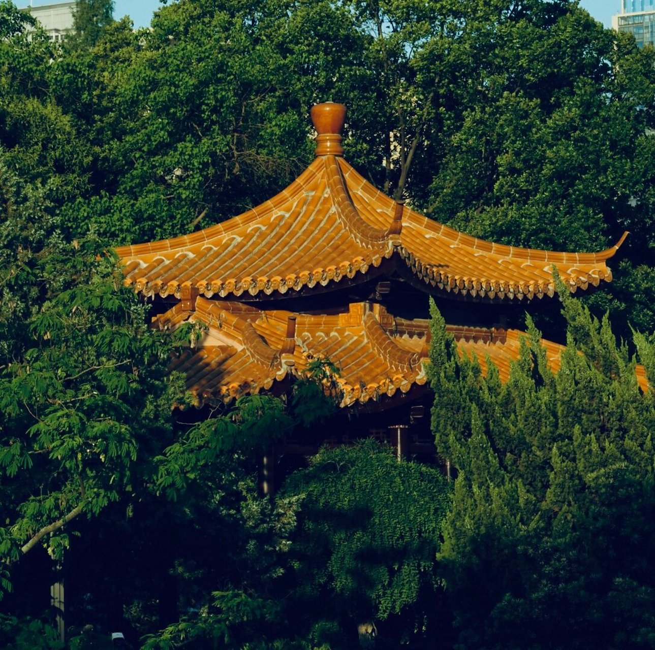 景点之一 逍遥津7415   迎夏之首 满园郁郁葱葱 逍遥津作为合肥市