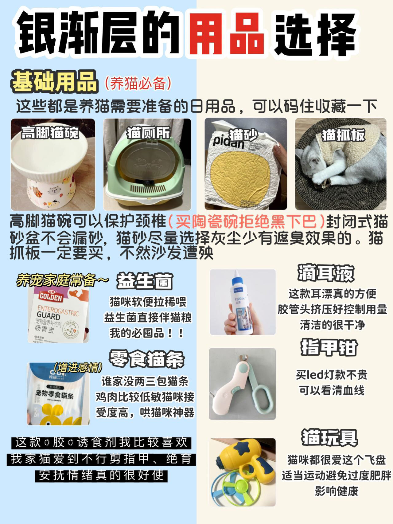 银渐层怎么养6315看这一篇就够啦73