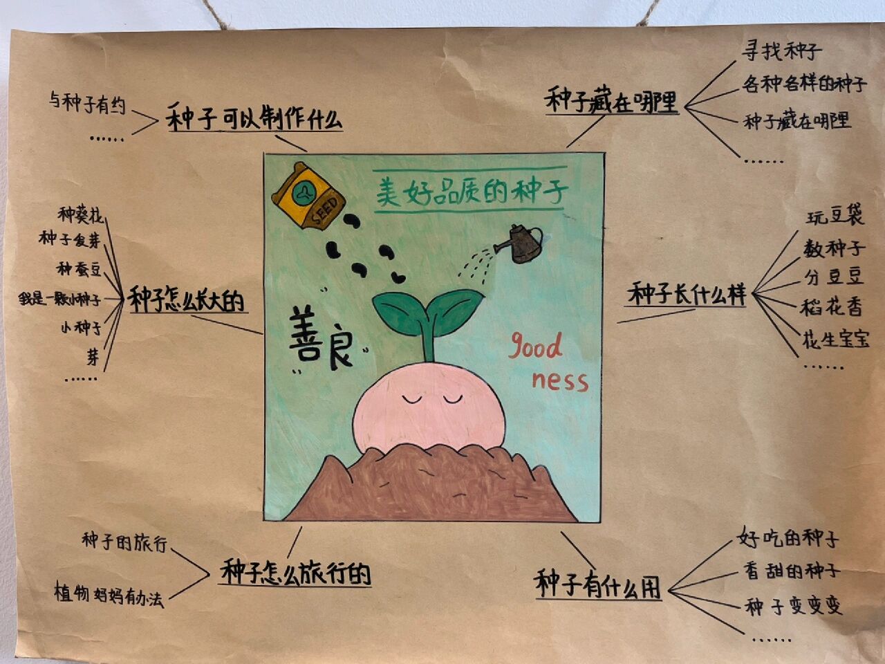 生命教育主题课程思维导图～种子的秘密