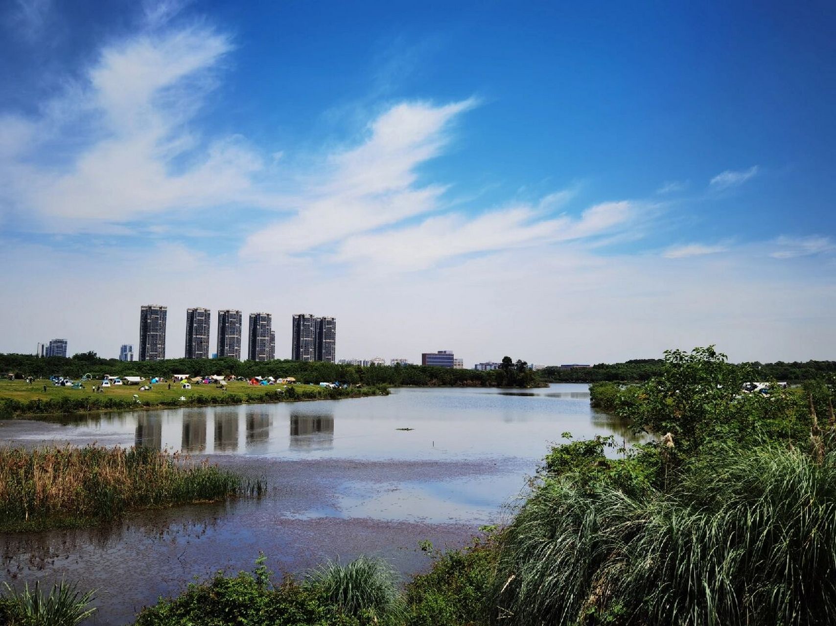 成都青龙湖湿地公园图片