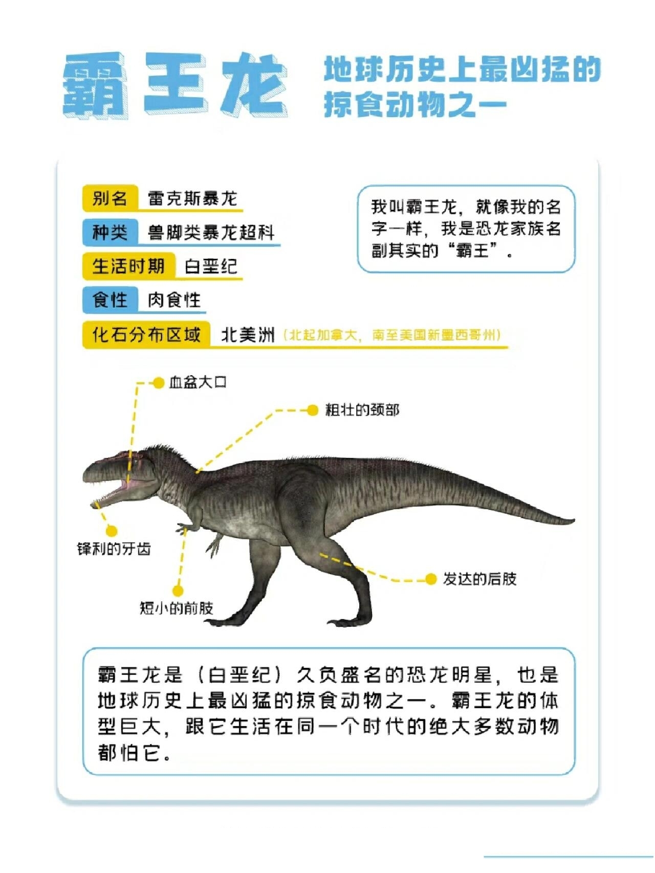 恐龙手抄报可保存资料 刷到就赞 @琉璃清水色的动态