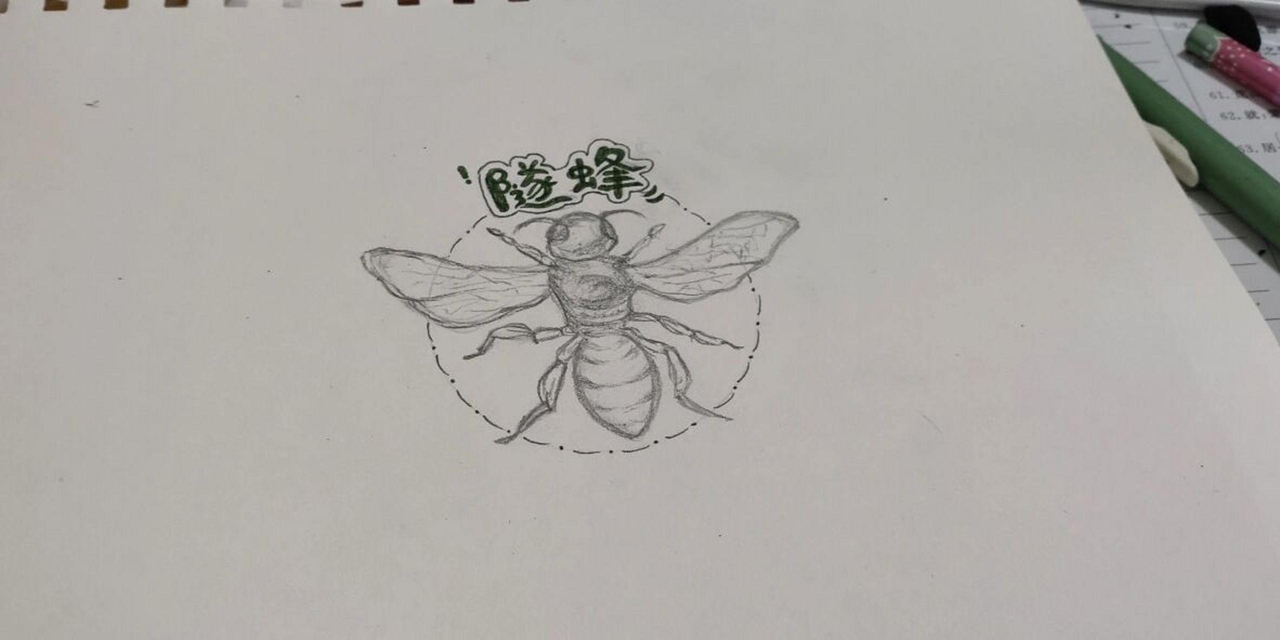 隧蜂简笔画 老师让画昆虫记思维导图,画了只隧蜂感觉不错
