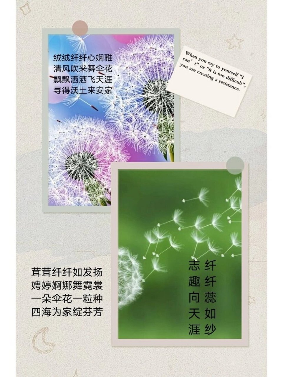 写给蒲公英的诗三首 #原创诗词# #看图写诗# ##自制图文