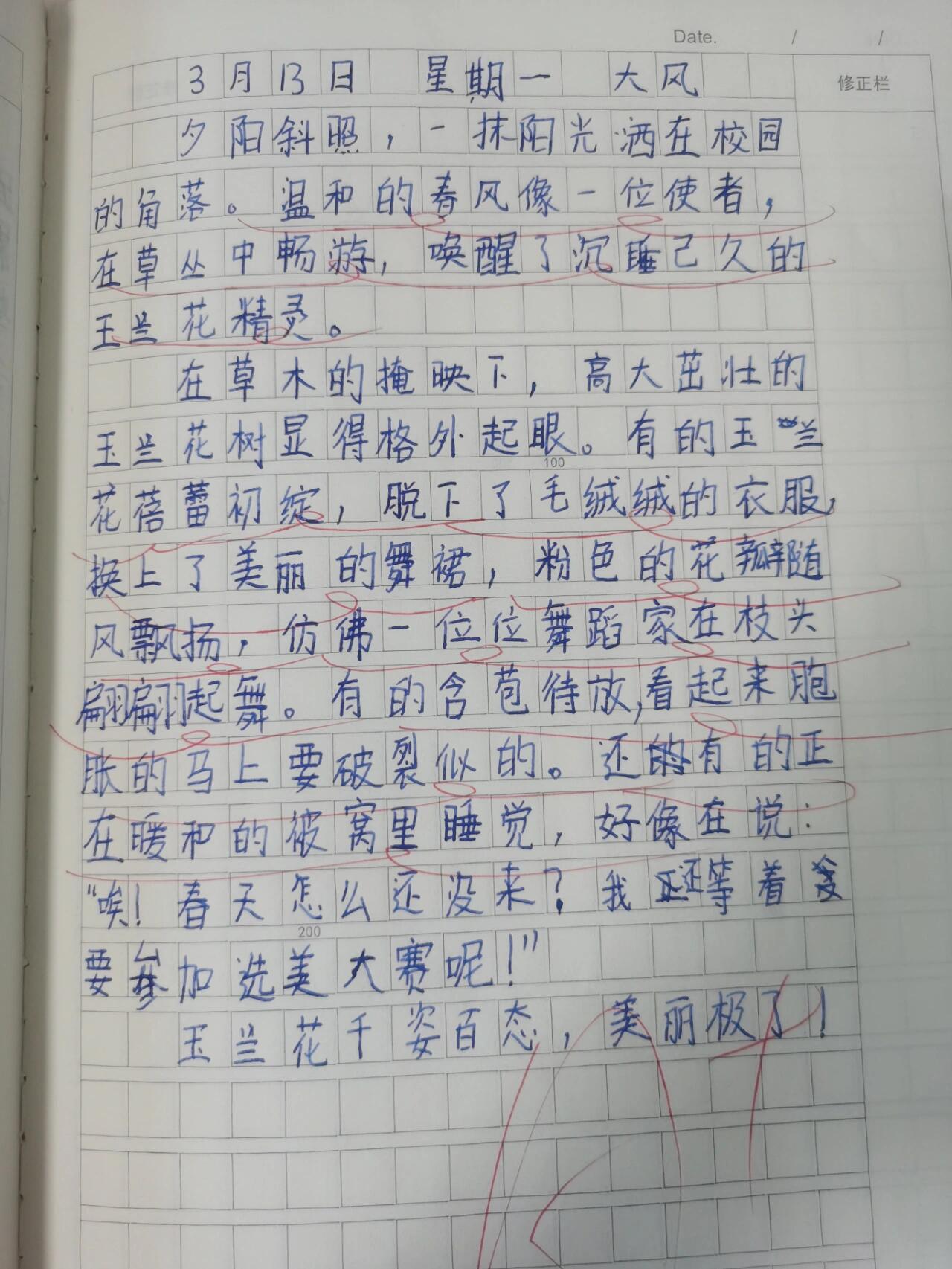 观察日记.植物篇三年级(观察日记植物怎么写小学三年级)