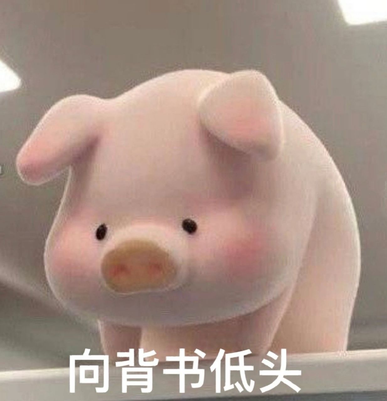 背书表情包 好可爱,可惜用不上