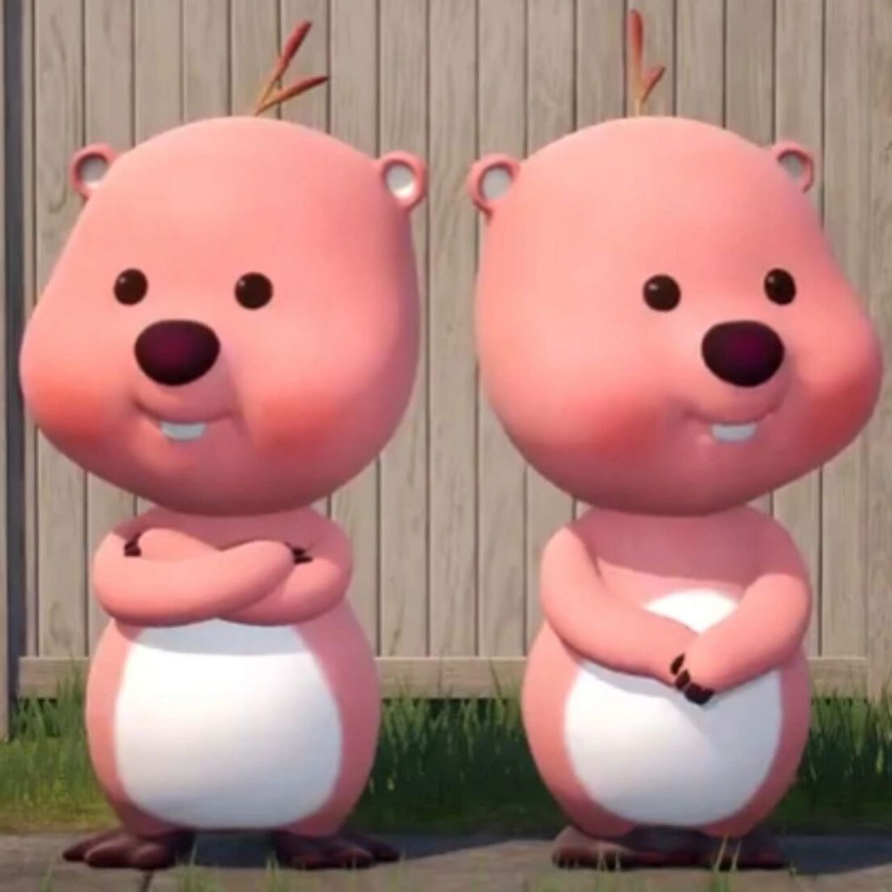 《两只loopy》0469♀15 明明长得一模一样 不过就是有哪里不一