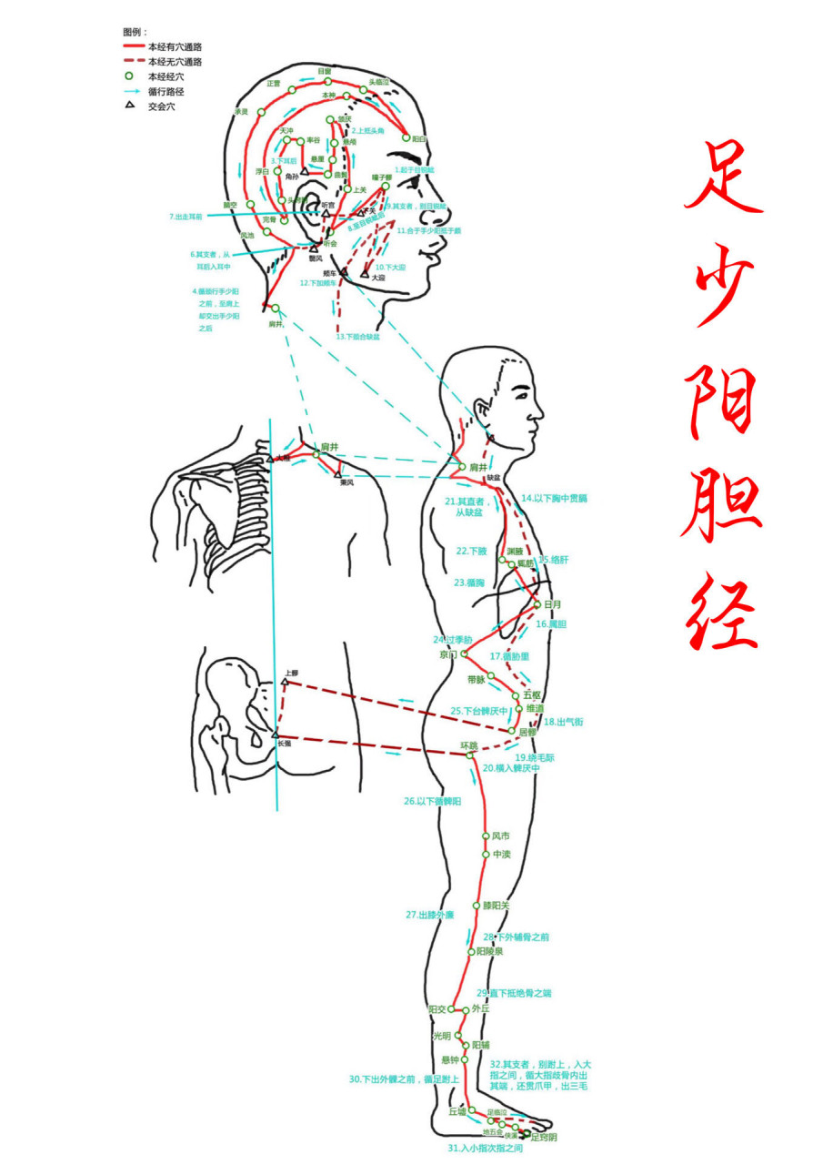 足少阴肾经循行示意图图片