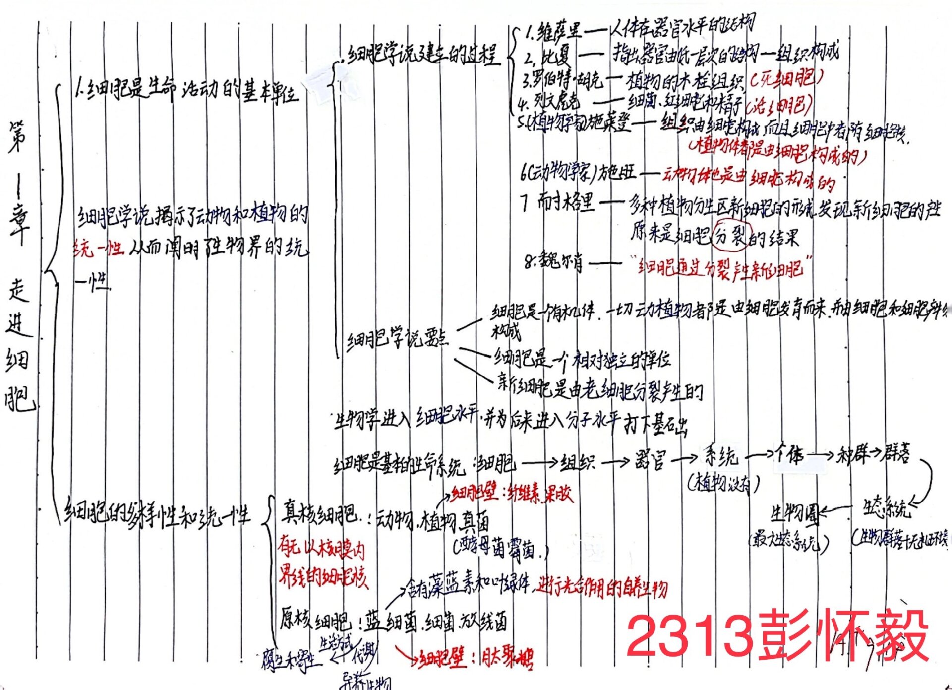 高中生物必修一第一章思维导图分享四