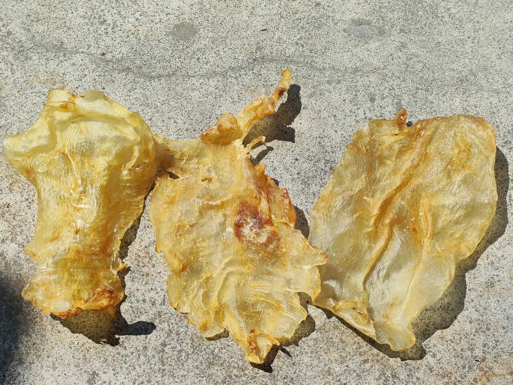 帮看看这个斗湖公鱼胶是不是真的 姐妹们,帮我看看,这个斗湖公鱼胶,是