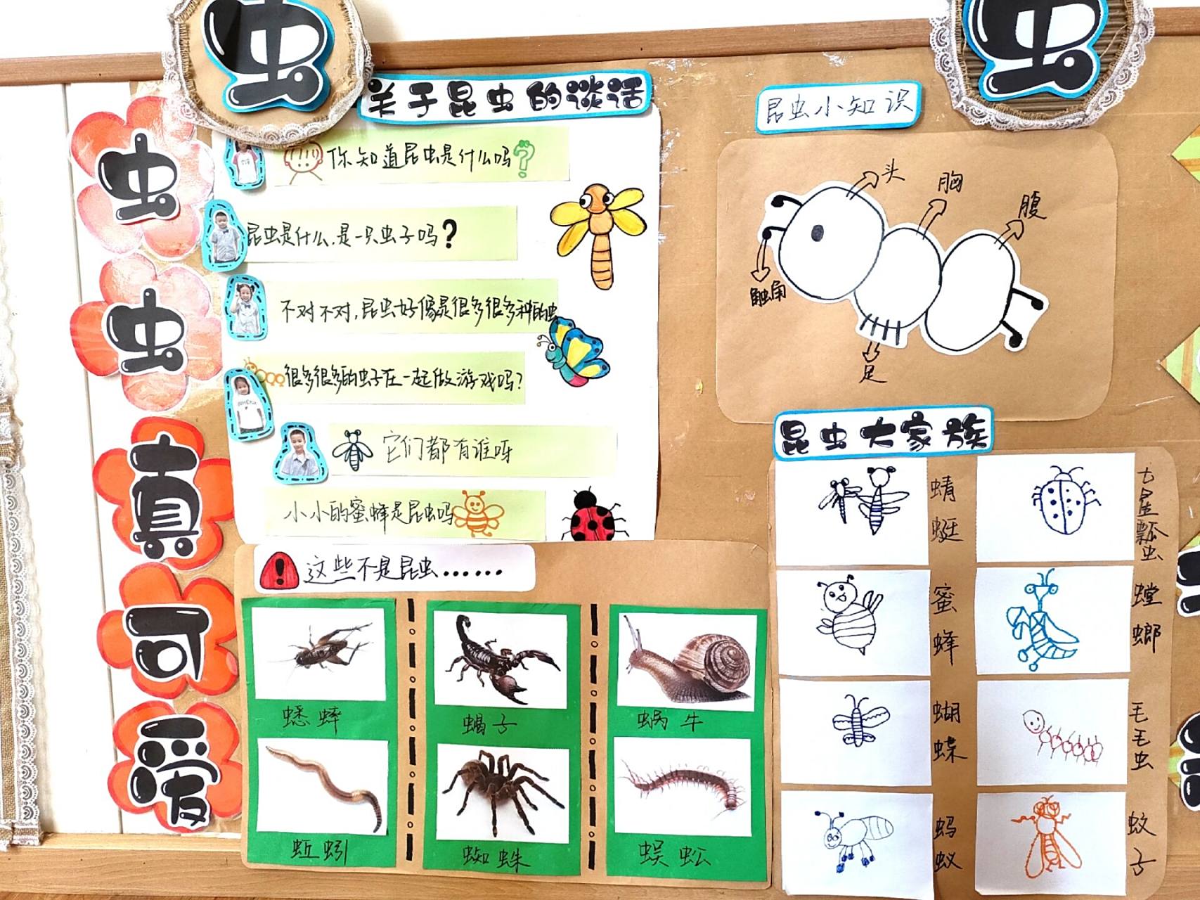 主题墙《虫虫虫虫飞》 中班 主题墙《虫虫虫虫飞》