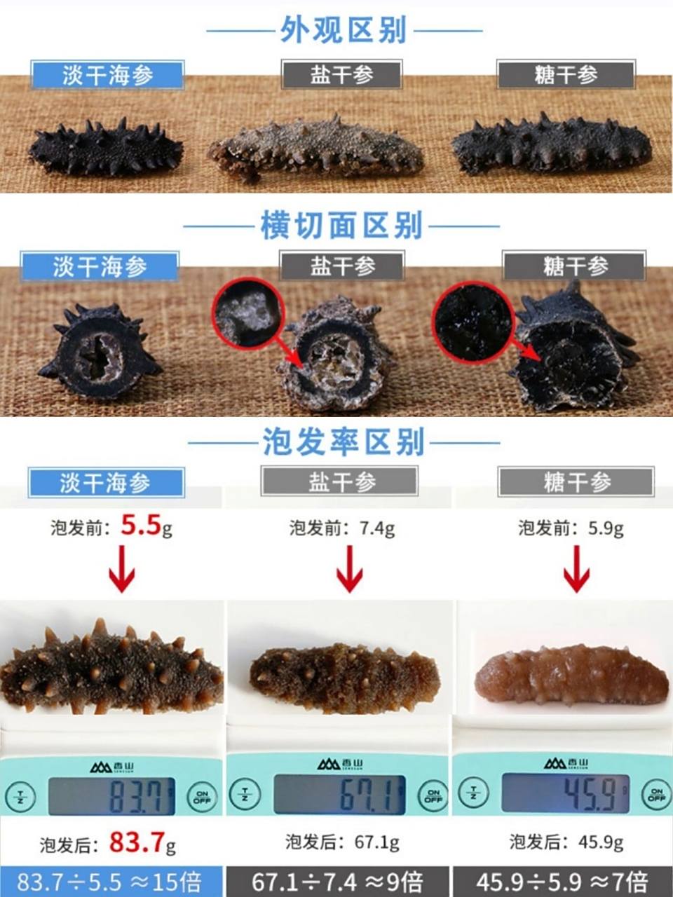 被商家欺骗,今天滢姐教你如何辨别淡干,盐干和糖干海参71外观区别1